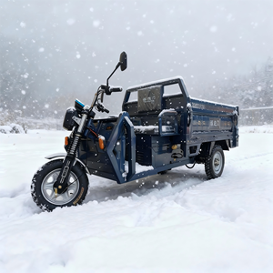 1000W Open Body Factory Supply Big Size Strong Motor 3 Wheel Tricycles 200-300kg Payload 50-70km <b>Range</b> for Use - Product Image 2