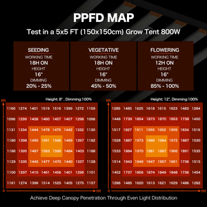 800 Wát chuyên nghiệp Quang phổ đầy đủ phát triển ánh sáng siêu cao Par ppfd tiết kiệm năng lượng vô cấp mờ Daisy chuỗi cho thương mại nông nghiệp - Product Image 2