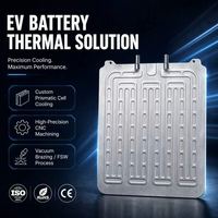 Plaque de refroidissement à eau pour cellules prismatiques de module de batterie EV au lithium LFP avec grande plaque en aluminium usinée CNC