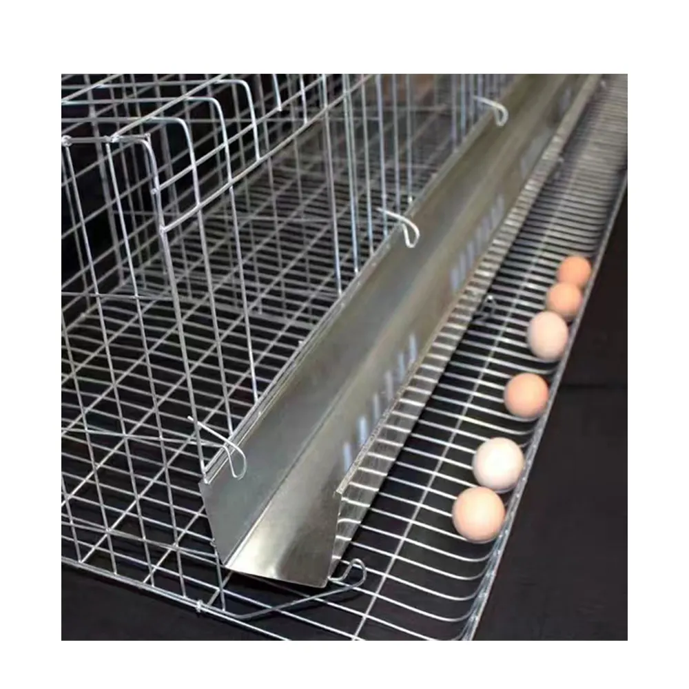 家禽農業機器で使用するための自動Aタイプ産卵ケージ価格繁殖鶏バッテリー層鶏ケージ