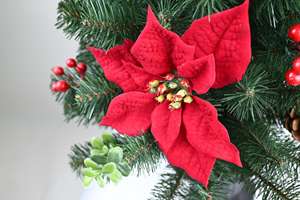 Hot Selling Customized Holiday Decoration Eco-Friendly Outdoor Artificial Pe Pvc <b>Christmas</b> <b>Tree</b> - Product Image 5
