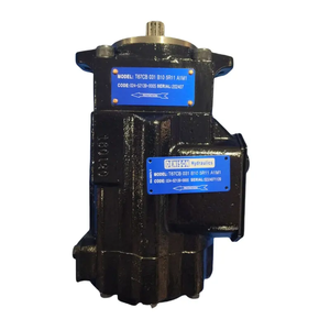 Bomba de paletas hidráulica de doble accionamiento serie T6GC T7GB T6DC T6ED T6EC T6CCW T6DCW T67CB T6CCW 017 006 2R01 C110 para fábrica - Product Image 2
