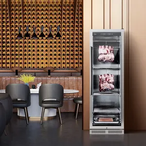 SICAO salami 케이터링 장비 스테이크 기타 드라이 에이지 쿨러 쇠고기 냉장고 기계 고기 건조 노화 냉장고