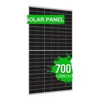 Silicio Monocristalino de Alta Eficiencia para Celdas Solares Tipo N de 500W-700W con Tecnología Fotovoltaica de Doble Vidrio