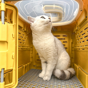 Caisse pour animaux de compagnie durable jaune bleu résistant à l'eau boîte pour chien en plastique chat transporteur à l'extérieur - Product Image 6