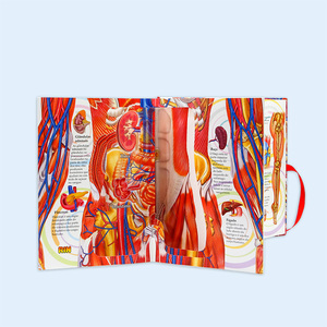 Libro Pop-up OEM 2025 para Modelos del <span class=keywords><strong>Cuerpo</strong></span> <span class=keywords><strong>Humano</strong></span> - Product Image 4