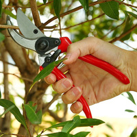 Sécateur Professionnel de Jardin et d'Agriculture Haute Qualité, Bypass en Acier pour la Taille des Arbres Fruitiers et Plantes