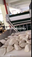 Par convoyeur Machine à emballer automatique de pesage de pépites de poulet frit en morceaux pour les boulettes d'aliments surgelés et non par balance combinée