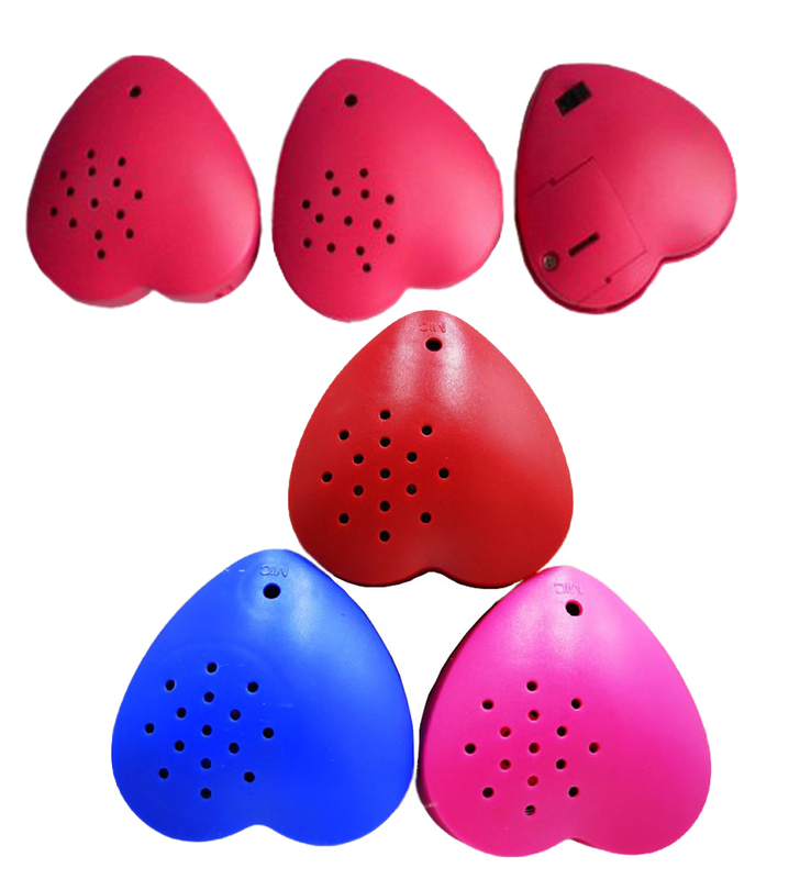 Hot Selling Heart Voice Recorder Sound
