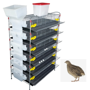 Équipement professionnel d'élevage de cailles, <span class=keywords><strong>cage</strong></span> à 6 niveaux avec système d'alimentation et d'abreuvement automatisé - Product Image 2