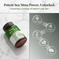 Gummies de mousse de mer Pureon en promotion, marque privée, pour le soutien immunitaire et l'amélioration du métabolisme, complément alimentaire