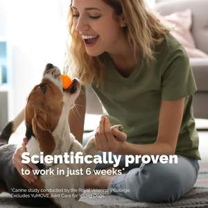 Suplemento y Cuidado Articular para Perros <span class=keywords><strong>de</strong></span> Marca Privada Boutique: Tabletas Masticables <span class=keywords><strong>de</strong></span> Aminoácidos y Glucosa para Articulaciones, 120 Unidades para Todas las Razas - Product Image 4