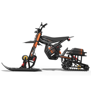 Ridingtimes USA : Stock disponible en entrepôt pour les États-Unis (2000W) et l'UE (250W) - Moto tout-terrain GT54 - Product Image 4