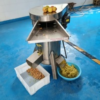 Grote industriële fruitpulpmachine voor het pellen, ontpitten en pulperen van jujubes, hawthorn, sinaasappels en pitaya.