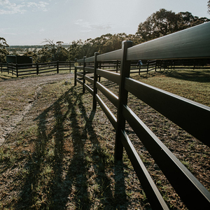 Postes y Paneles de Cerca para Ranchos y Granjas de Acero Galvanizado - Product Image 6