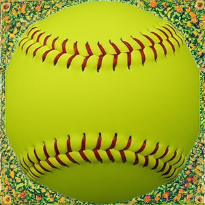Bate de Bambú de Alta Calidad para Softbol de Lanzamiento Rápido, Relleno de Corcho, 12 Pulgadas, Aprobado por la NFHS, 3 Libras, Costura Elevada para Entrenamiento, MOQ Bajo - Product Image 2