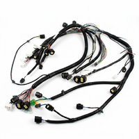 Produsen Perakitan Kabel Profesional China, Kabel Harness Sepeda Listrik
