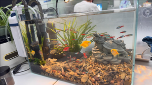 Statua Paesaggistica Drago Divino Acquatico per <span class=keywords><strong>Acquario</strong></span>, Scultura in Pietra, Pietra Verde, Bonsai, Micro Paesaggio, Accessori per Acquari - Product Image 4