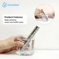 Bâtonnet d'eau alcaline riche en hydrogène CAMAZ pour la maison, portable, alimenté au gaz, en acier inoxydable argenté, sûr, 100 GPD pour une boisson saine