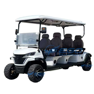 Carritos de Golf Eléctricos Económicos 2026 de 2/4/6/8 Plazas en Venta con Características Personalizadas, Vehículo Eléctrico/Golf Eléctrico/Sight - Product Image 2