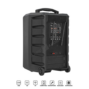 2000W 12" Portable Trolley Karaoke Speaker for V5.0 DSP <strong>Echo</strong>/Reverb Wireless Microphone Rechargeable Battery Guitar <strong>Input</strong> - Product Image 5