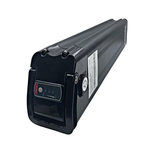 Batteria ad Alta Capacità per Ebike da Food Delivery, Batteria Silver Fish 48v 30Ah 36v 20Ah 48v 28Ah, Batteria Whitebait - Product Image 4