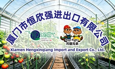 Xiamen Hengxinqiang Import And Export Co., Ltd. logo