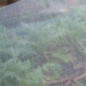 Filet anti-insectes à mailles fines avec protection des bords pour serres et jardins – Service de découpe disponible - Product Image 5