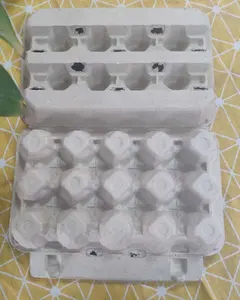 Paper Plate Mould Qinyang Shunfu Paper Die/ Paper Plate Mould List/ Egg Tray Mold Manufacturer