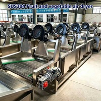 Machine de lavage automatique à levage pour tomates et poivrons, machine de nettoyage de fruits et légumes