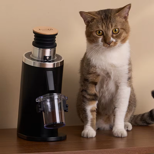 Macinacaffè Commerciale Hatrsen DF54 Gen 2 con Macine Piatte da 64mm, Versione 2025 per Caffetterie e Torrefazioni, Certificato CE, Ordini all'Ingrosso, OEM - Product Image 2