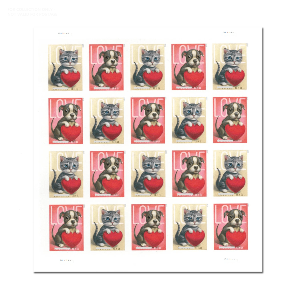 Blanc Y66 2023 Amour chat et chien