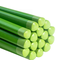 Lot de crayons HB 2B à grip triangulaire en bois noir Green Barrel, mine épaisse, crayons spéciaux pour enfants, non toxiques et sûrs