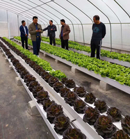 Système hydroponique NFT pour la culture verticale de fraises, canal de culture en PVC, gouttière hydroponique pour serre commerciale