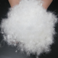 Duvet de canard ou d'oie blanc RDS de haute qualité pour homme, femme et enfant, veste et manteau fins