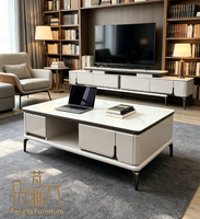Ensemble de meubles de salon Nodric Light Luxury, table basse TV avec plateau en marbre, style nordique, table centrale pour usage domestique