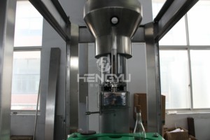 هنغيو OEM الروتاري السد آلة/النبيذ زجاجة شمبانيا الفلين corking كوركر آلة/maquina taponadora llenado - Product Image 6