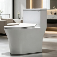 Ensemble WC monobloc en céramique à siphon à jet, économie d'eau et anti-odeur, pour hôtels et maisons d'hôtes