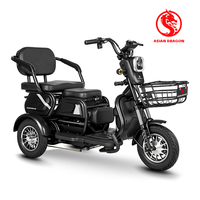 Tricycle électrique 500W 48V à 3 roues et 3 vitesses, haute vitesse, cadre en fer, capteur électronique, longue autonomie, pour passager adulte, loisirs urbains