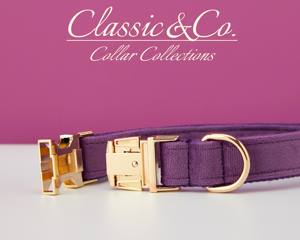 Conjunto de Collar y Correa para Perro de Terciopelo Sólido Personalizado con Nombre Grabado, Campana y Lazo de Terciopelo Morado, Envío Gratis - Product Image 5