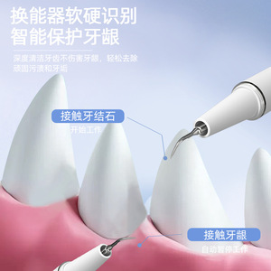 Ultrasonic Dental Cleaner For Pets Removing Tartar Plaque <b>Teeth</b> <b>Cleaning</b> Scaling Dog Cat Grooming <b>Tool</b> Battery Powered Plastic - Product Image 2