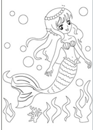 20*30 (Mermaid Design)