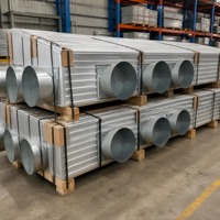 Gallinero Prefabricado de Acero de Bajo Costo, Construcción Rápida para Proyectos de Avicultura Comercial