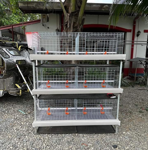 Cage à poulets ventilée de haute qualité avec système d'alimentation pour élevage avicole, équipement de ferme avicole, longue durée de vie - Product Image 4