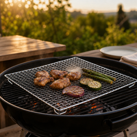 Grille de cuisson en maille pour barbecue, rôtissoire pour foyer extérieur, outil de service alimentaire pour camping, randonnée, pique-nique, fête de jardin et jardin