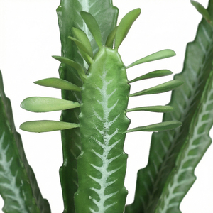 Planta Artificial de Euphorbia, Planta Decorativa en Maceta para Interiores, Planta de Primera Calidad para el Hogar, Oficina, Vestíbulo de Hotel, Decoración Verde para Eventos - Product Image 4
