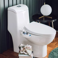 Accessoire de toilette bidet non électrique OEM-Buse autonettoyante avec pression d'eau réglable-Installation facile