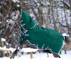 定制马毯聚酯防水保暖预算友好，适合寒冷气候下的马主 - Product Image 2
