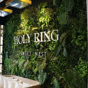 Mur d'herbe de mur de <span class=keywords><strong>buis</strong></span> artificiel en plastique anti-UV plante mur vert pour <span class=keywords><strong>la</strong></span> décoration extérieure intérieure - Product Image 1