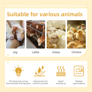 Gà Coop <span class=keywords><strong>Led</strong></span> Chăn Nuôi Trung Tâm Đèn Động Vật Chiếu Sáng Ánh Sáng Mặt Trời Bắt chước Cho Gia Súc Heo Con Thỏ Điền Ánh Sáng Cải Thiện Khả năng Miễn dịch - Product Image 2